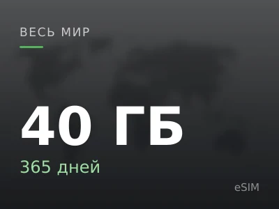 40 ГБ · 365 дней