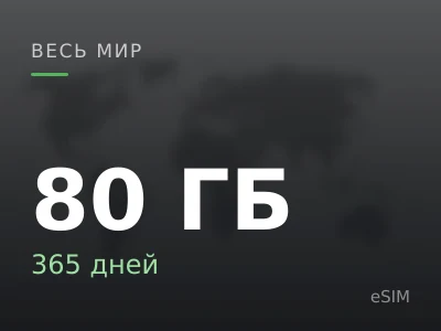 80 ГБ · 365 дней
