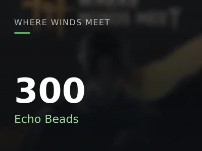 300 Echo Beads