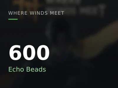 600 Echo Beads