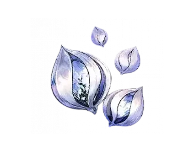 300 Phoxene Plumule